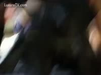 Beast Porn - Couple lets their dog fuck her